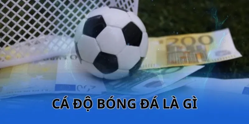 Tìm hiểu cá độ bóng đá gì?