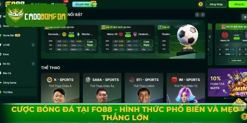 Cược Bóng Đá Tại Fo88 - Hình Thức Phổ Biến Và Mẹo Thắng Lớn