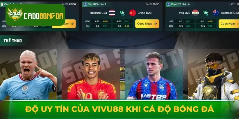 Hiểu về độ uy tín của Vivu88 khi cá độ bóng đá